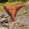 Avatar of Animal Maker