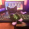 Avatar of kadogeekin1