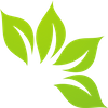 Avatar of thucphamcs