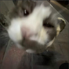 Avatar of soy_negro123