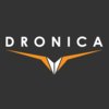 Avatar of Dronica