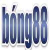 Avatar of Bong88