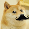 Avatar of mustachdoge