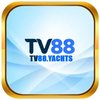 Avatar of tv88yachts