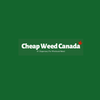 Avatar of onlinedispensary