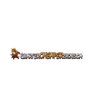 Avatar of Quarter Cheaper Signs Bucket Truck Rental