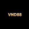 Avatar of VND88