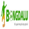 Avatar of Bongdalu Pro