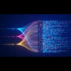 Avatar of syntheticpassportdatasets