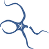 Avatar of PaleoLab-ULE