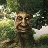 Avatar of tree