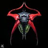 Avatar of Jakub.Hrdina