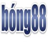 Avatar of Link vào bong88