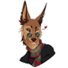 Avatar of SavaDK
