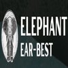 Avatar of Best Thai Restaurant