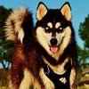 Avatar of Acord78