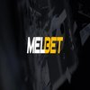 Avatar of melbet online casino