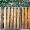 Avatar of backyardandgarden
