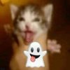 Avatar of OzzyDaMonkeh