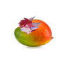 Avatar of creedvenet