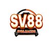 Avatar of SV88