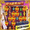 Avatar of topupgamingslot
