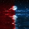 Avatar of Blue_Blood_Moon