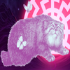 Avatar of HyperboreanManul