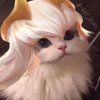 Avatar of dragonvn0823