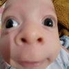 Avatar of Papihello