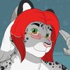 Avatar of Vawkis
