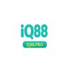 Avatar of IQ88