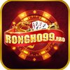 Avatar of Rongho99 Pro