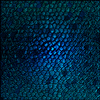 Avatar of leo_shi