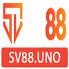 Avatar of sv88