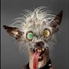 Avatar of magiczztab