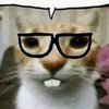 Avatar of Ssssssofi