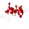 Avatar of mhd.frag