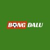 Avatar of bongdalu