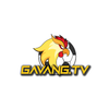 Avatar of gavangtvji