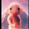 Avatar of Diego.778
