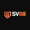 Avatar of sv88dayco