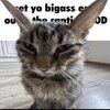 Avatar of get yo bigass ears out the caption DUDE