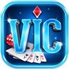 Avatar of Vicwin io