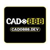 Avatar of cado888dev