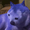 Avatar of bluedogger