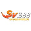 Avatar of SV388 Ryukyu