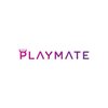 Sketchfab profile picture for @playmate