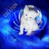 Avatar of Appu