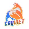 Avatar of caovietnet